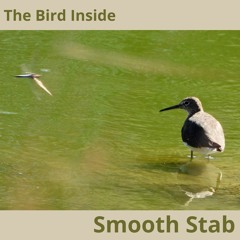 SMOOTH STAB