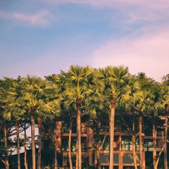 Set Geo Lost Sundays