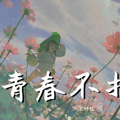 王梓钰 - 青春不打烊【動態歌詞/Lyrics Video】