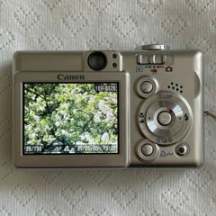 Pictures Are Divine - Mist Fable