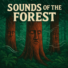 Sounds of the Forest