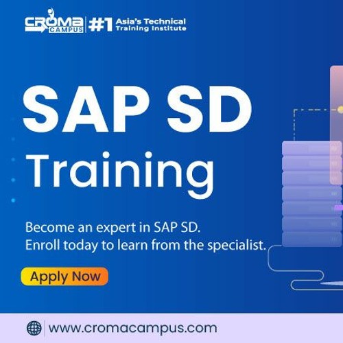 What Refers To SAP SD  Explain Its Career & Future Scope