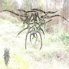 #dicotlyfe mix #2k24 #edensounds