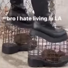 Stuff ig V2