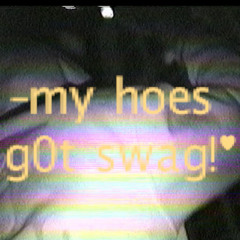 my hoes g0t swag