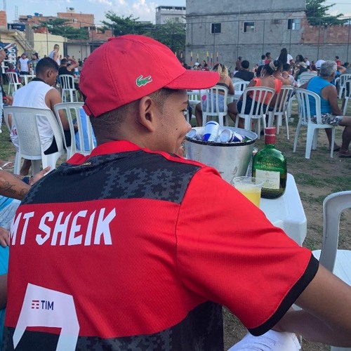 SEQUÊNCIA TIKTOK PARTE 2 ((MT SHEIK))