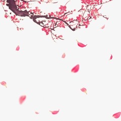 華山派
