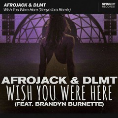 Afrojack & DLMT - Wish You Were Here (Geeyo Ibra Remix)