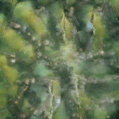 softmechanism_20211024