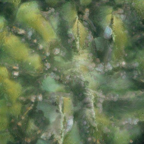 softmechanism_20211024