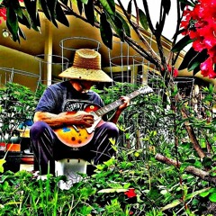 Collision Course EDM featuring Alex Hirsch - singer