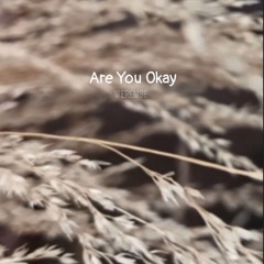 Are You Okay