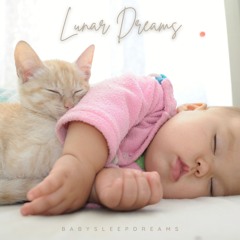 Drowsy Daydream Delights