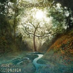 Scionaugh & Kuni - Lady Luck [Universal Tribe Records]