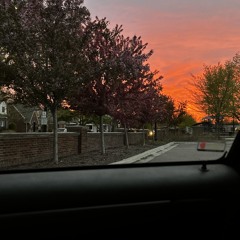 Lonely - Datfootdive (Dexter)