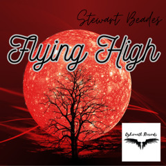 Flying High