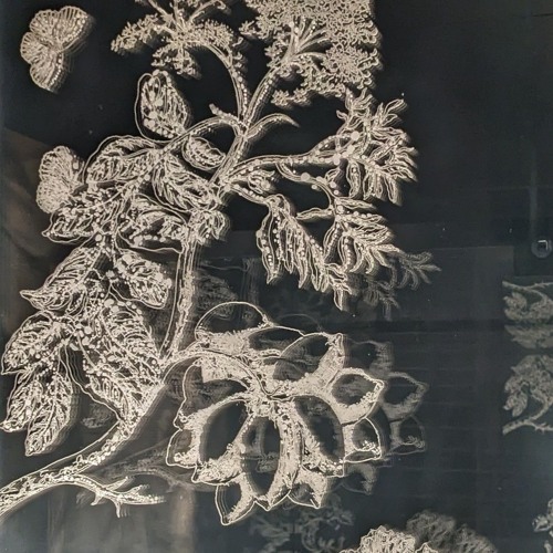 Get on the floor if you got that booty