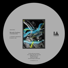 Ricardo Garduno - Spiteful Behaviour IARLTDS003