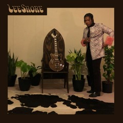 LeeShore - Passing Time