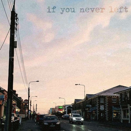 IF YOU NEVER LEFT - blink-182 ukulele cover