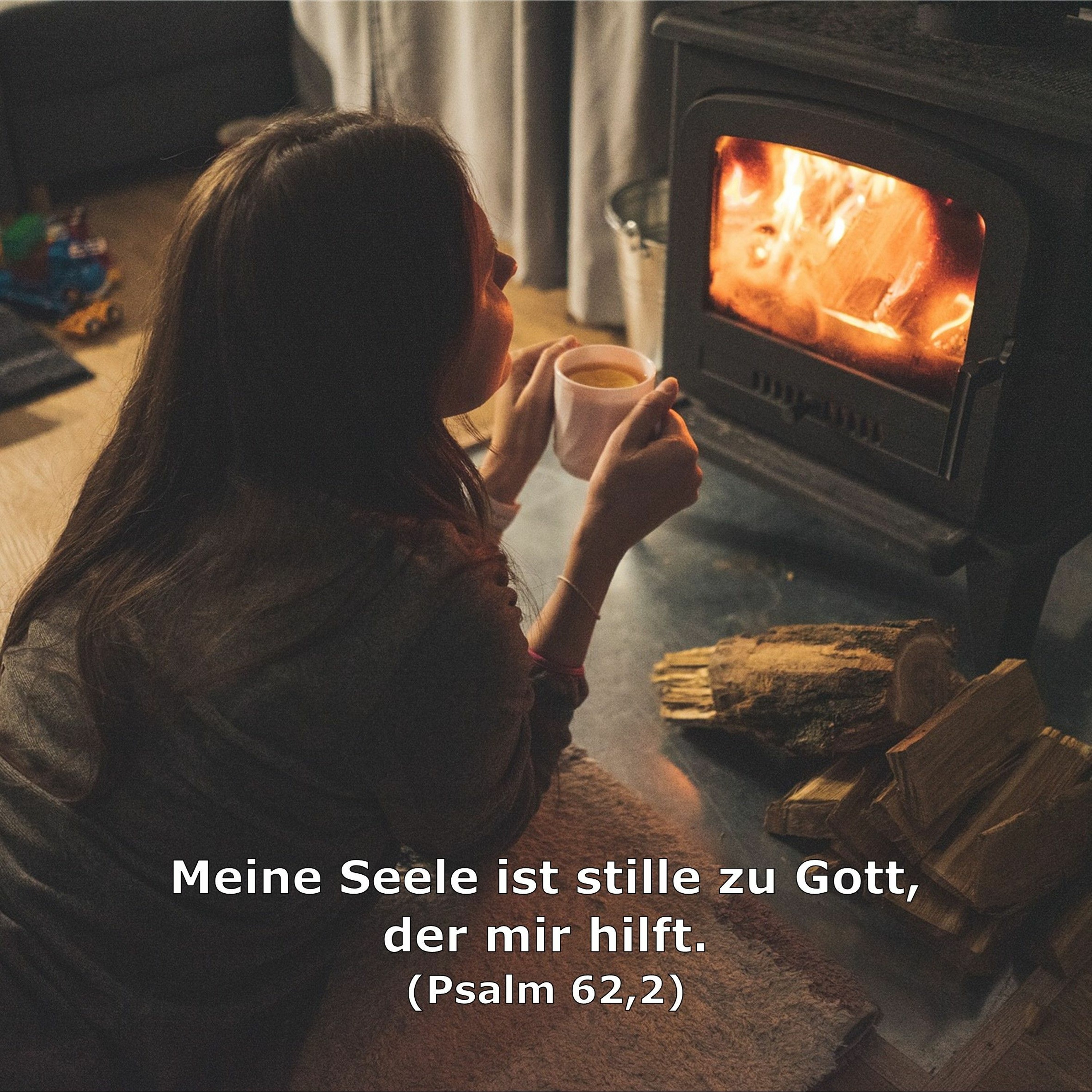In einem Jahr durch die Bibel