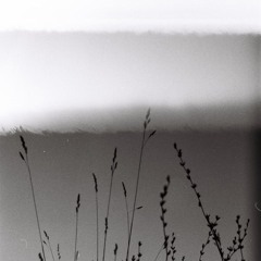 humid home