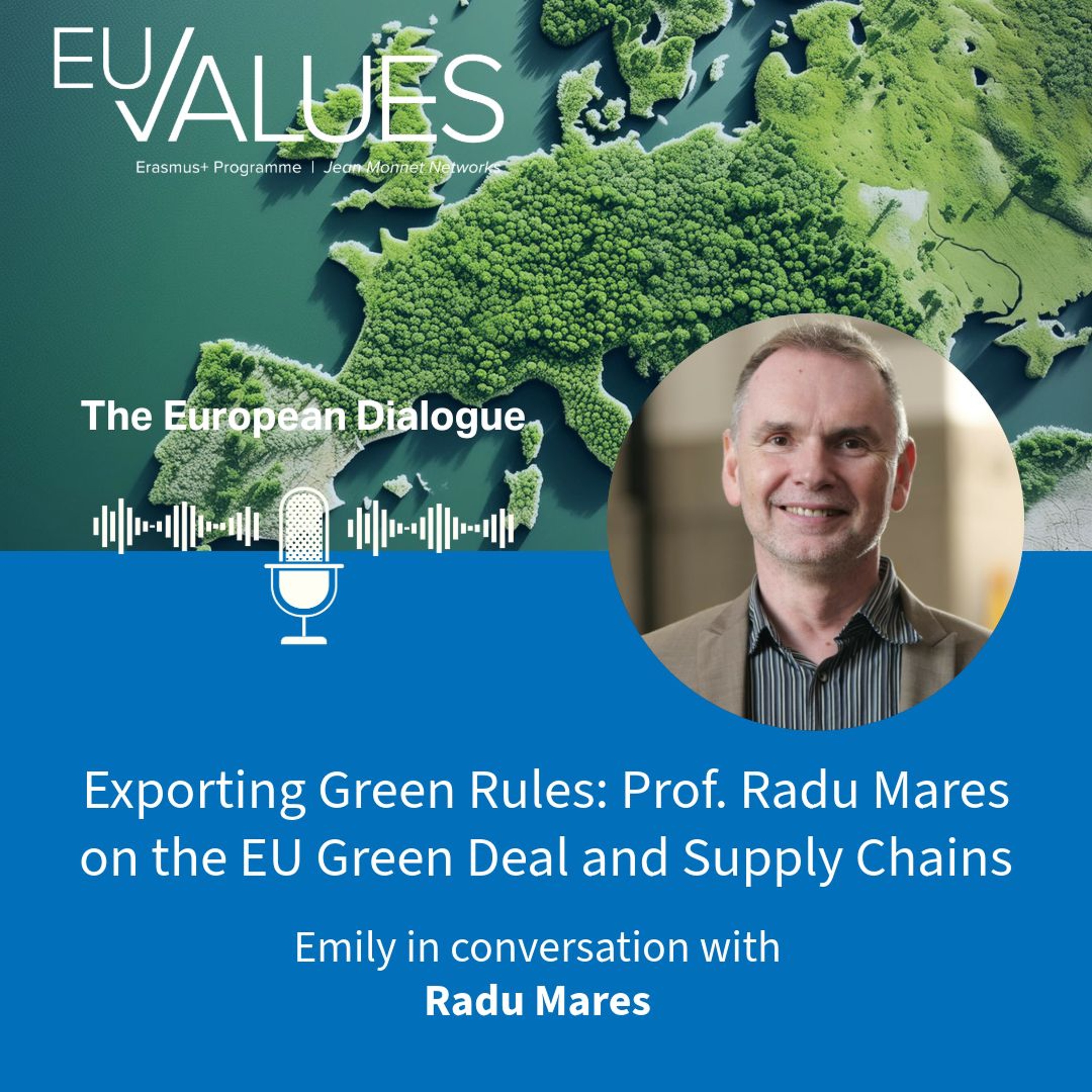 EU Corporate Due Diligence: Finding the Smart Mix with Prof. Radu Mares episode artwork