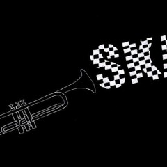SKA - P - NI FU NI FA - BINARY REMIX