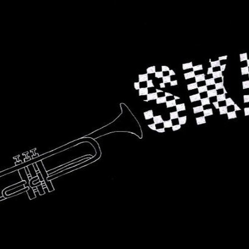 SKA - P - NI FU NI FA - BINARY REMIX
