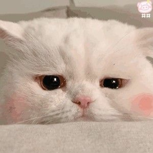 y2mate.com - lần sau cuối  DUONGGs demo.mp3