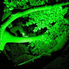 No No Mix. 01.11.22. 8S (4)