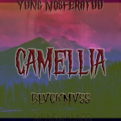 Track 1