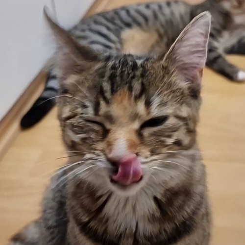 Romero & Luan Sie liebt Techno , er Rap & Dein Augen Tekk