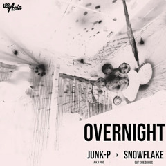 OVERNIGHT / JUNK-P a.k.a PINO & Snowflake（MaryDi$hPAD REMIX）