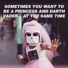 DONT U KITTEN THIS LOVELY CAT