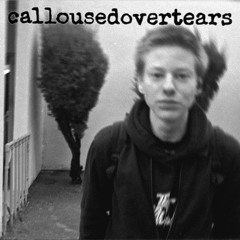 birds. - official demo