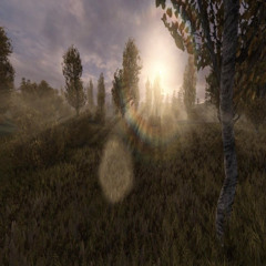 light