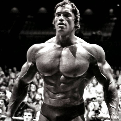 Kraft Power Strength (Arnold x Shizzy x David Goggins) Mega Trepa Trepa