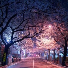 Walking Around Tokyo