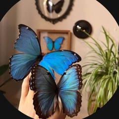 اوتوستراد – بسحب كلامي