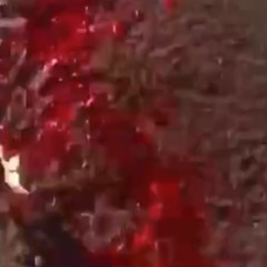 BLOODLUST #ENVYSCENE #BEHELITS