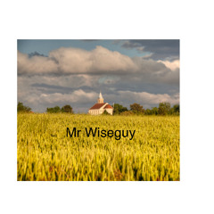 Mr Wiseguy