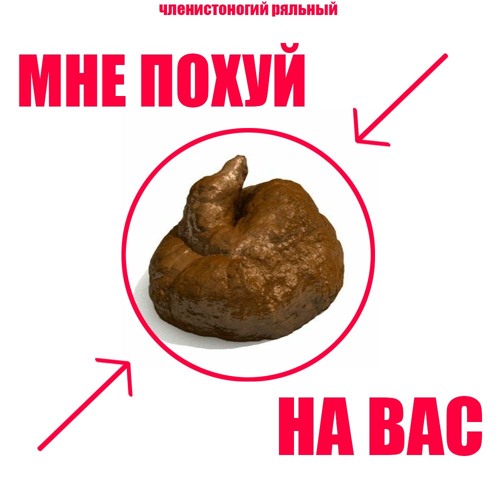 мне похуй на вас