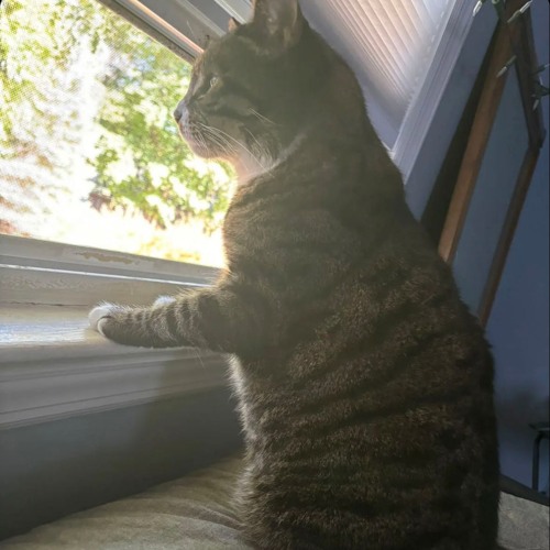 it gets bad (king theta)