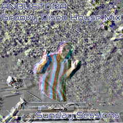 Angustora - Groovy Disco House Mix At Sunday Session W/ OzO Collective & Blush Audio 2024