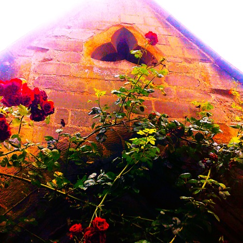 PATIENCE IS A VERTICIL: The Harp Songs of MULTIPLICA EXPONENTIA - 1