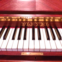 Convolvers For Birds