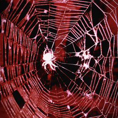 $cope Out prod. K4REAL