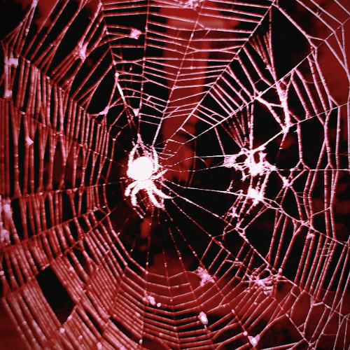 $cope Out prod. K4REAL