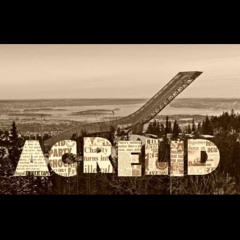 Acrelid 2022 - Simfro(Very Rare)